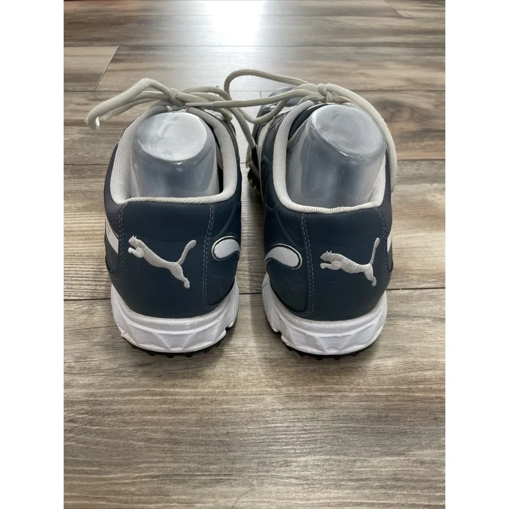 Puma biofusion men